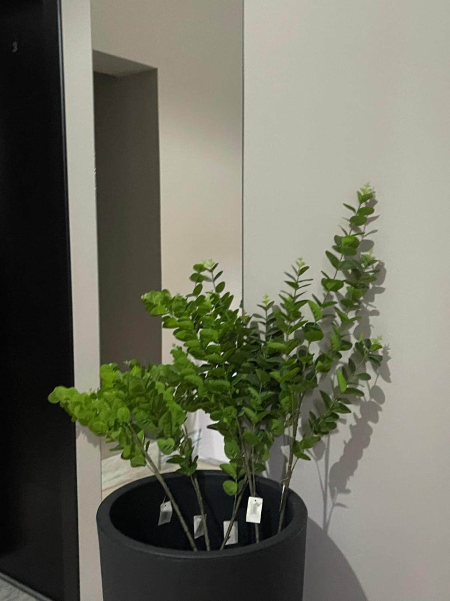Ora Apartament Pogradec Ngoại thất bức ảnh